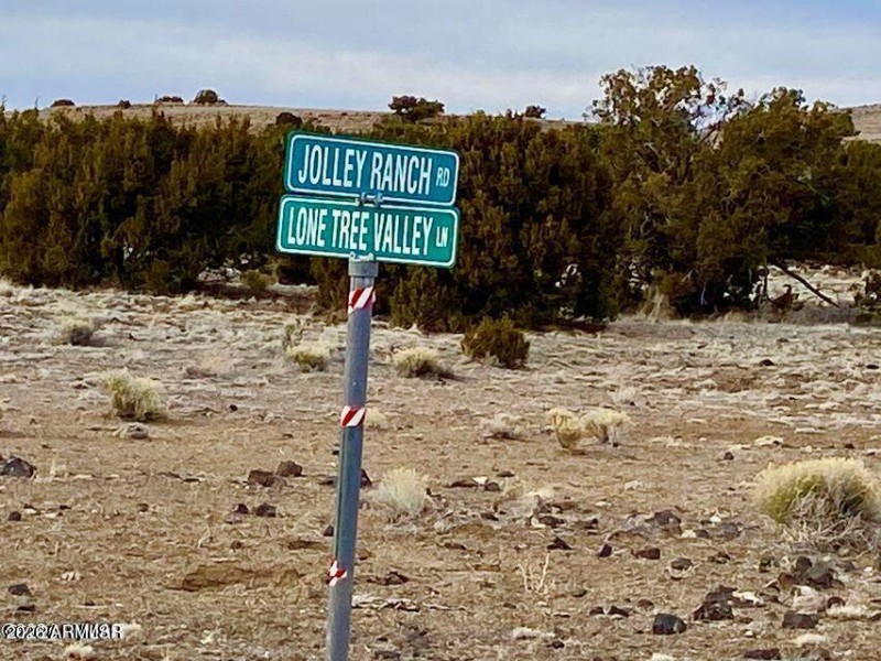 20260312065839704599000000-o