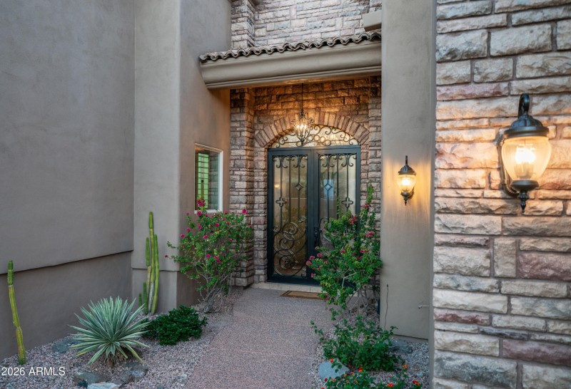 Beautiful iron entry door