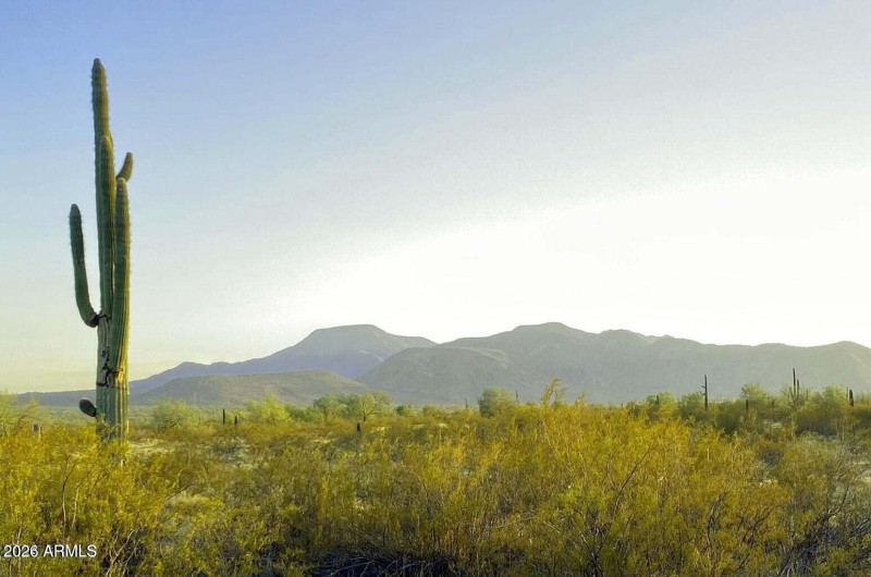 20241029044323457123000000-o