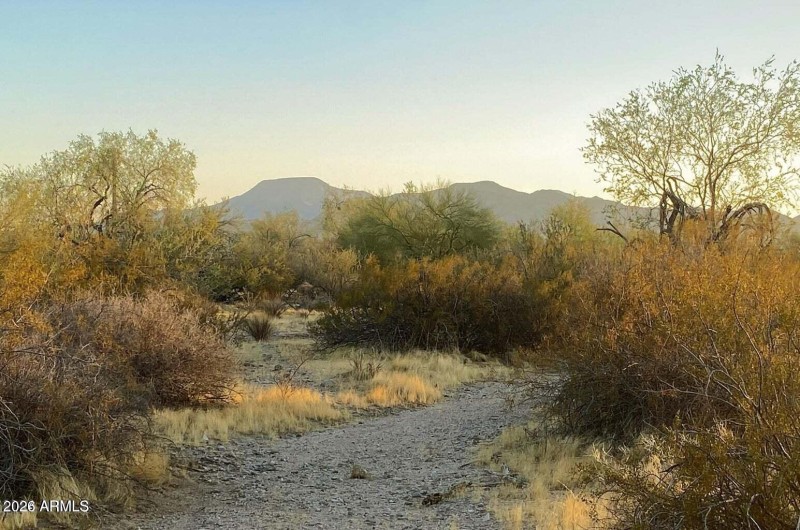 20241029044242854679000000-o