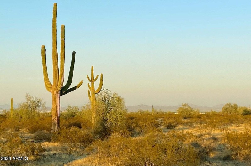 20241029044209883695000000-o