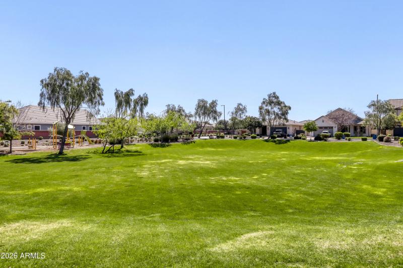 FRONT YARD PARK VIEW