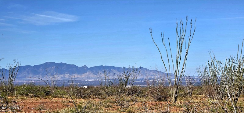 2952 East Jones Boulevard