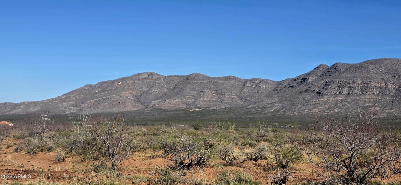 2952 East Jones Boulevard