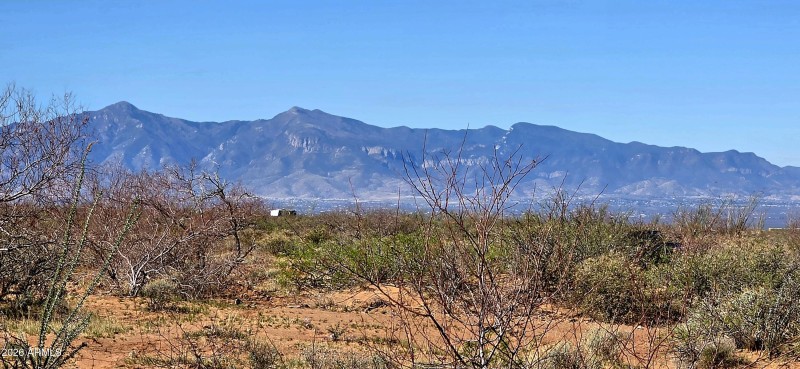 2952 East Jones Boulevard