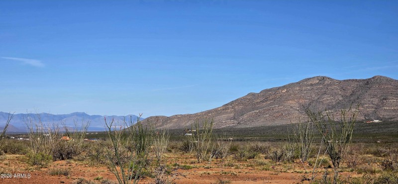 2952 East Jones Boulevard