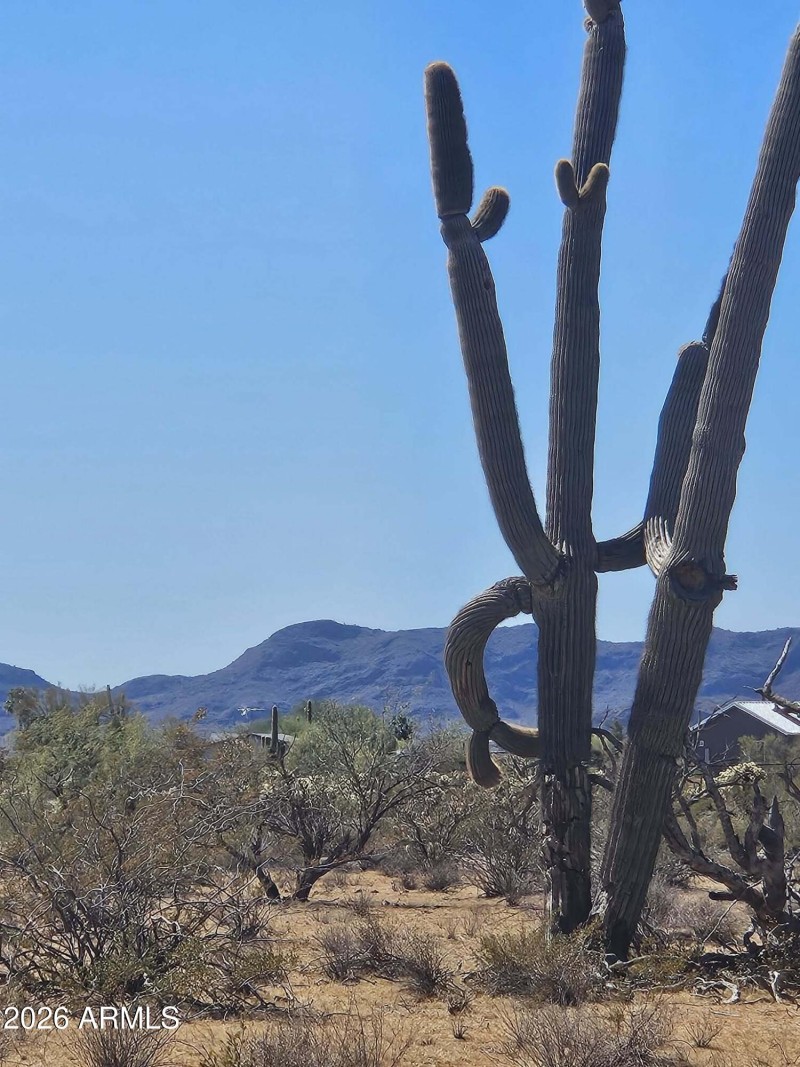 572cb12c-4af3-4c19-ad5c-ff80ef2ec218