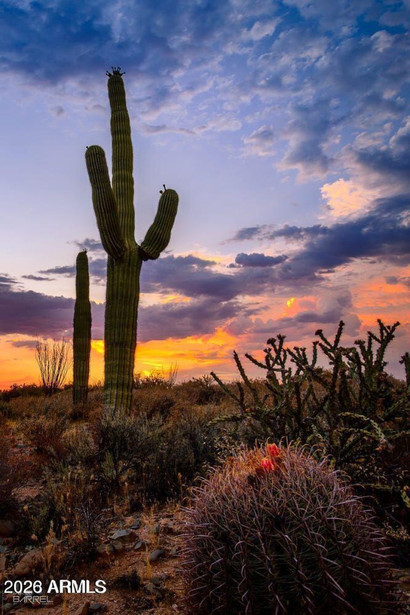 Superstition Wilderness1