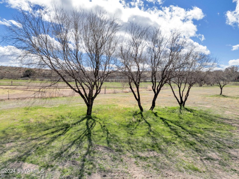 TimberCreekImagery-8 (3)