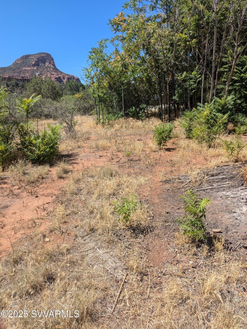 PXL_20250726_173333318