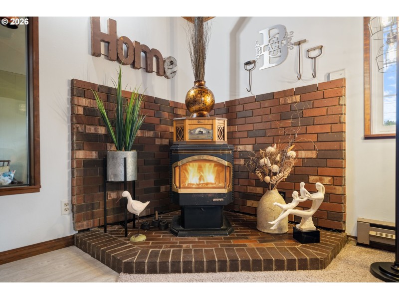 Fireplace Pellet Stove