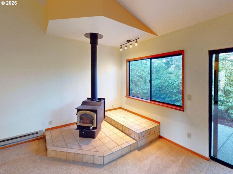Fireplace Stove