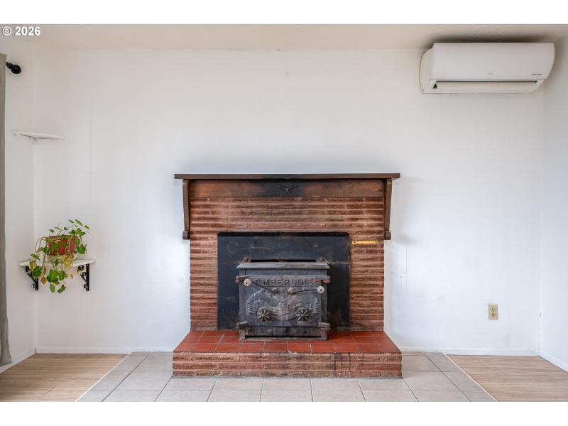 Fireplace Wood Burning Stove/Insert