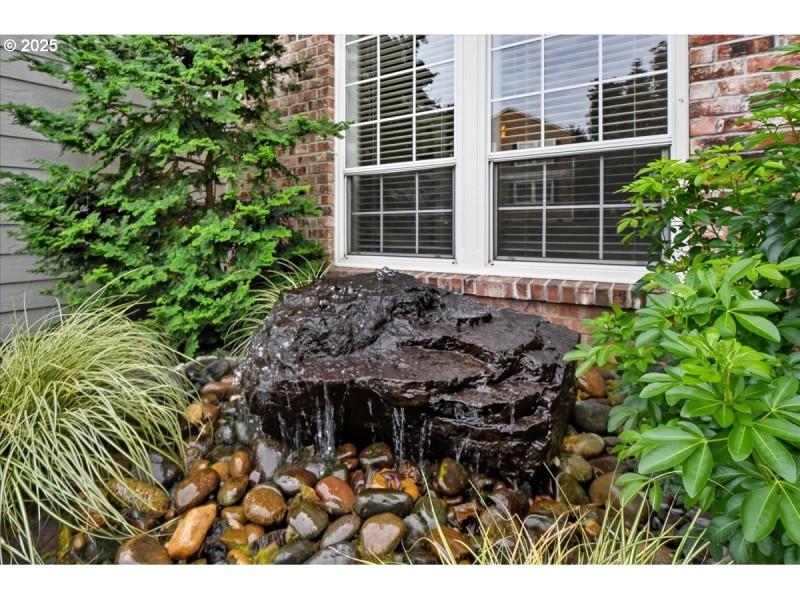 Water Feature