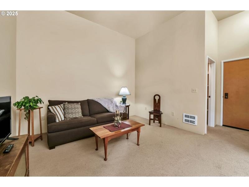 Living Room/Entrance