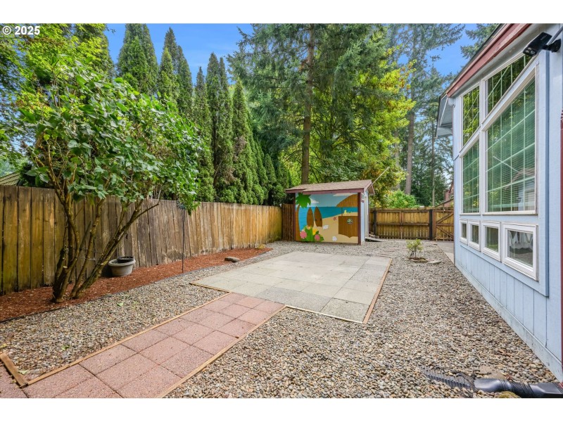 Backyard