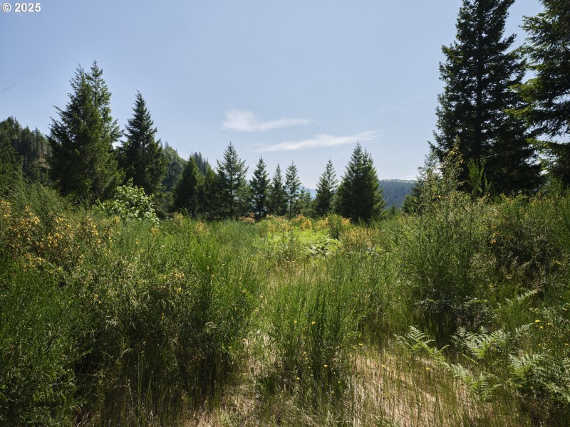 Acreage
