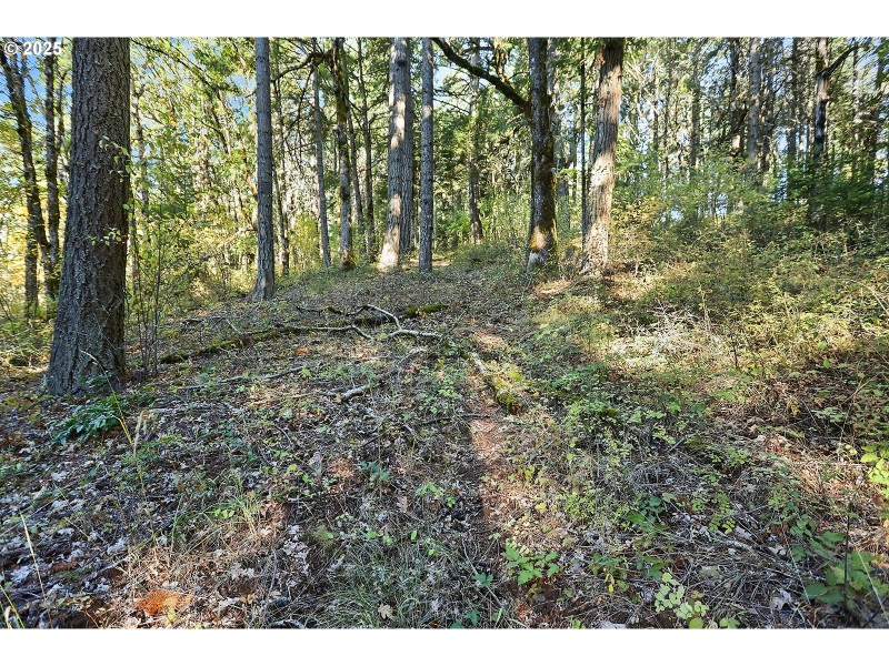 Acreage
