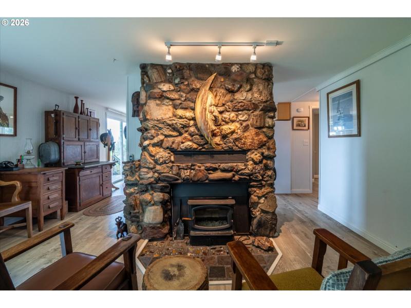 Fireplace Wood Burning Stove/Insert