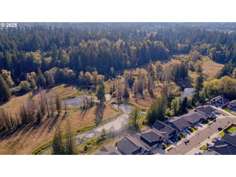 Community Park