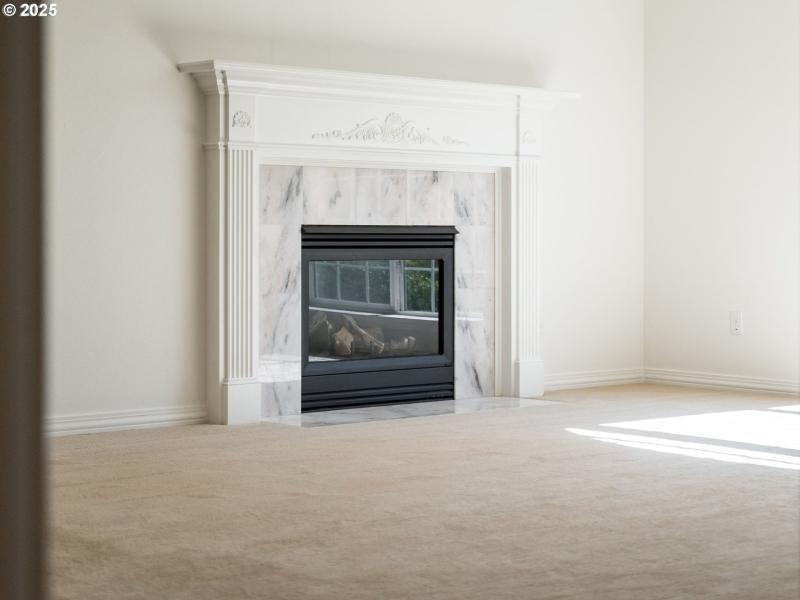 Fireplace Gas