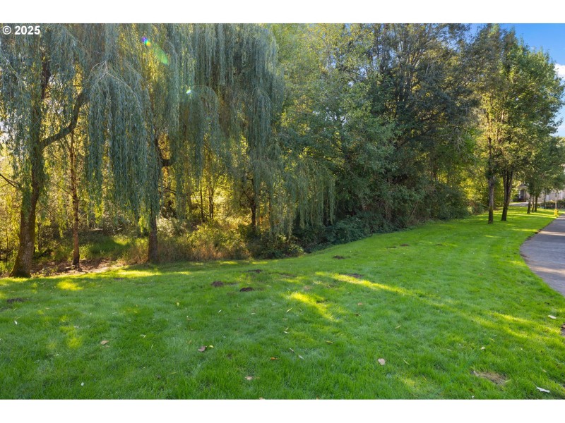 Green Space