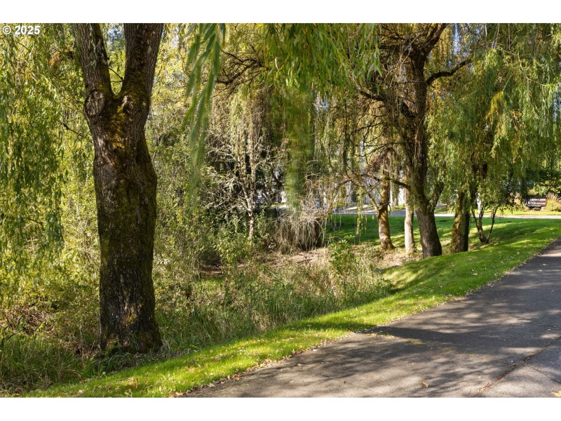 Green Space