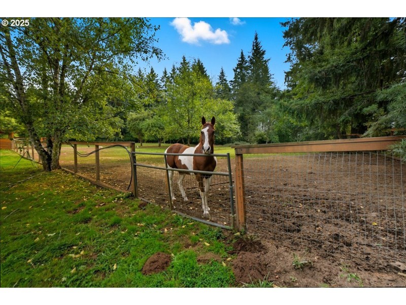 Pasture