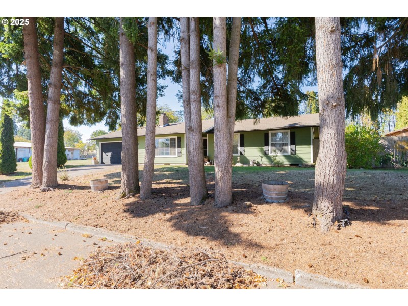 Yard