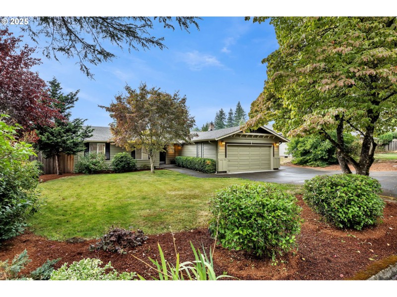 Front Yard