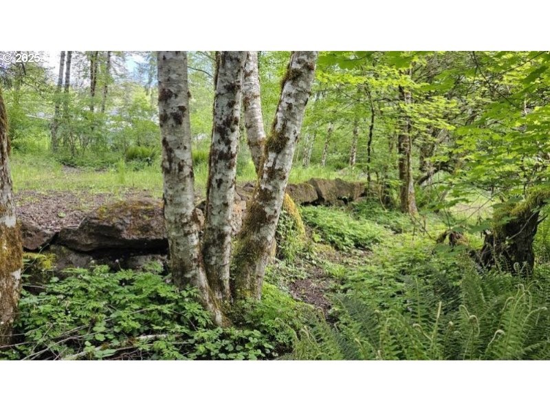 Acreage