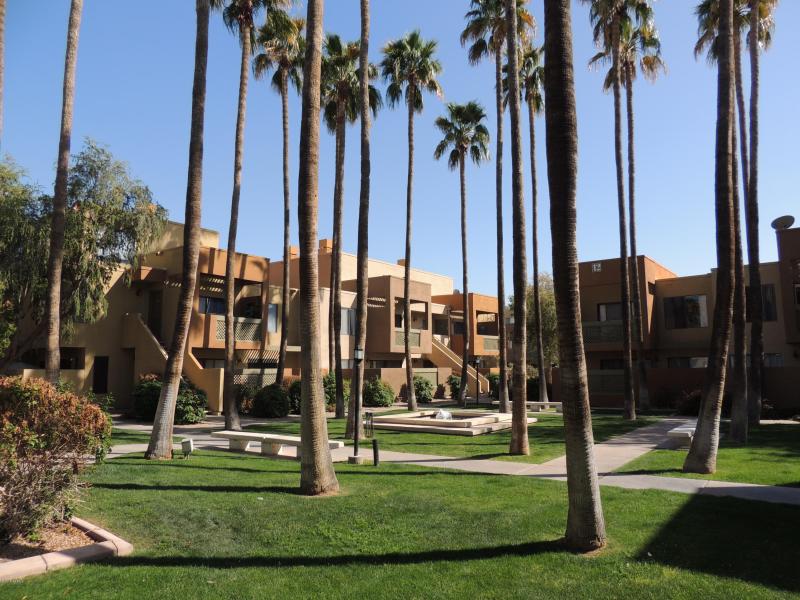 trifilo 8 scottsdale az homes for rent R