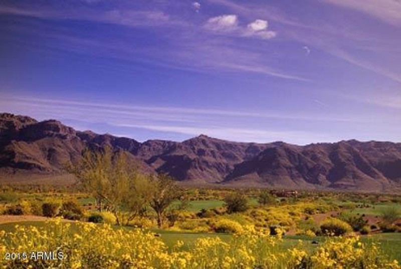 Sonoran Desert
