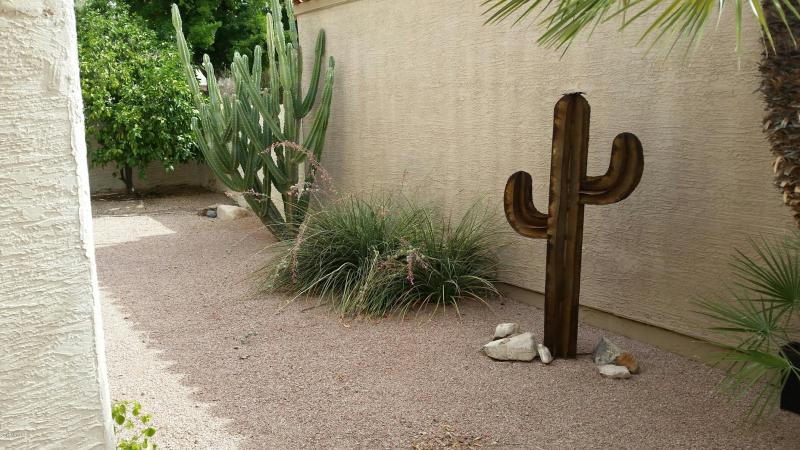 20170530_091839_resized