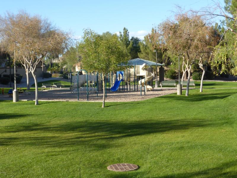 Sides big park with walking paths