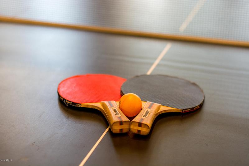 Ping Pong Table