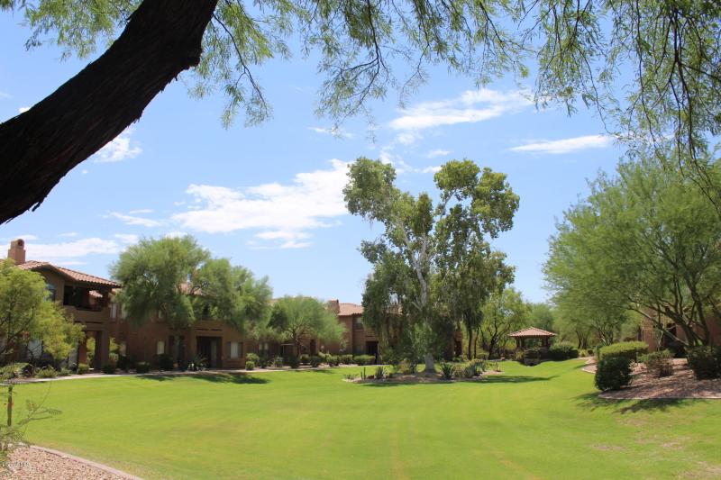 Large Grassy Area behind condo