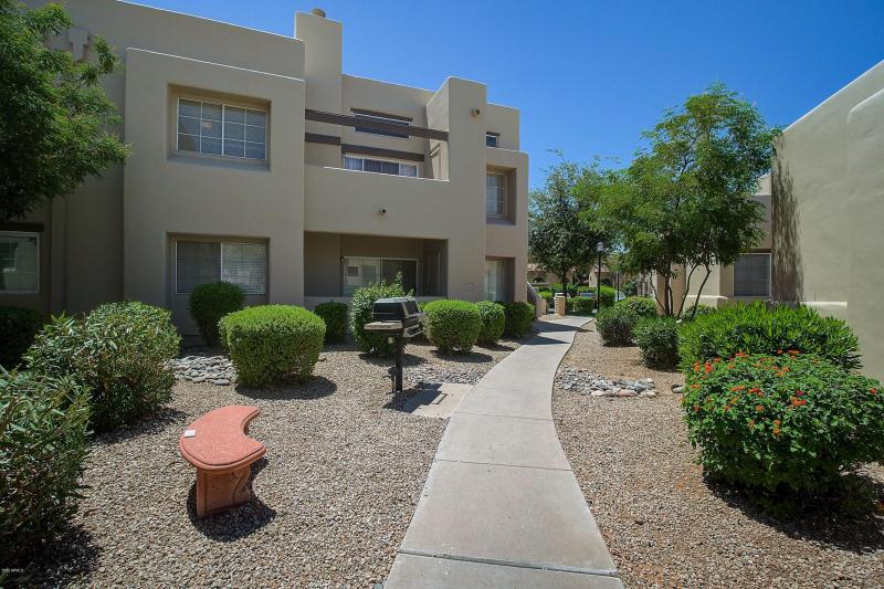 Image 10-26-20 at 4.15 PM