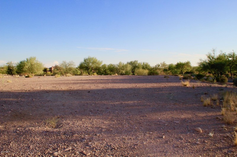Lot 1
