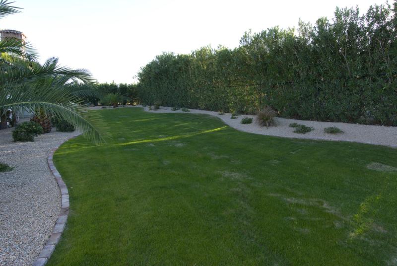 GREEN, LUSH BACKYARD SURROUNDS PROPERTY