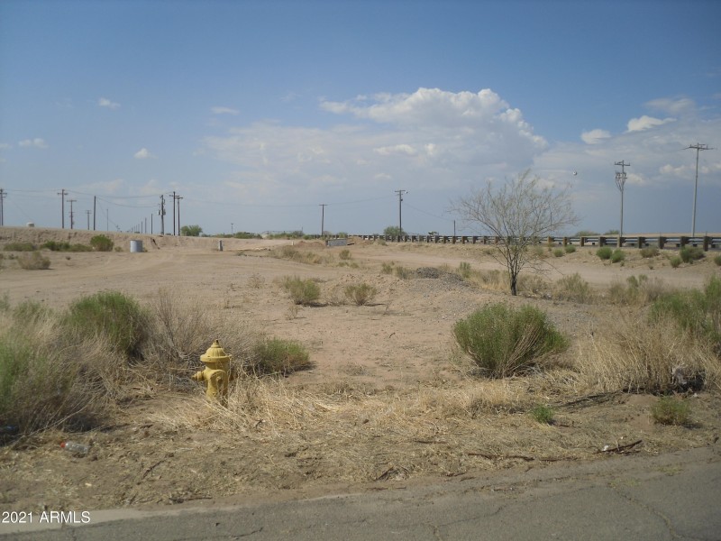 SDC10485