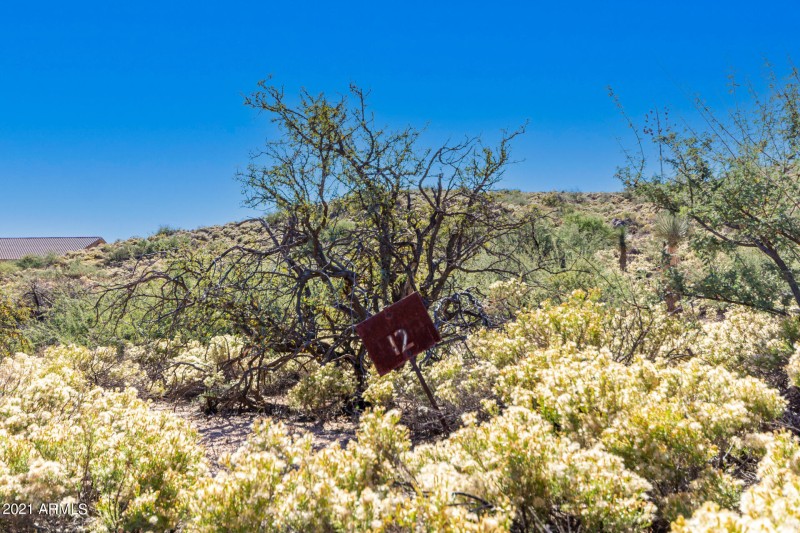 Post-lot#12 E Manana RD