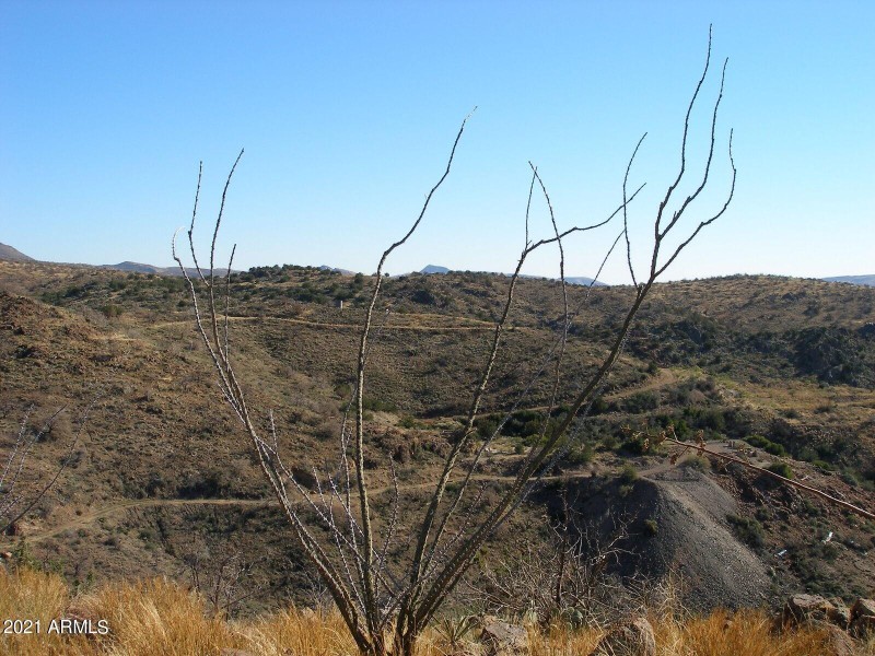 View of old mill site from atop Patty's