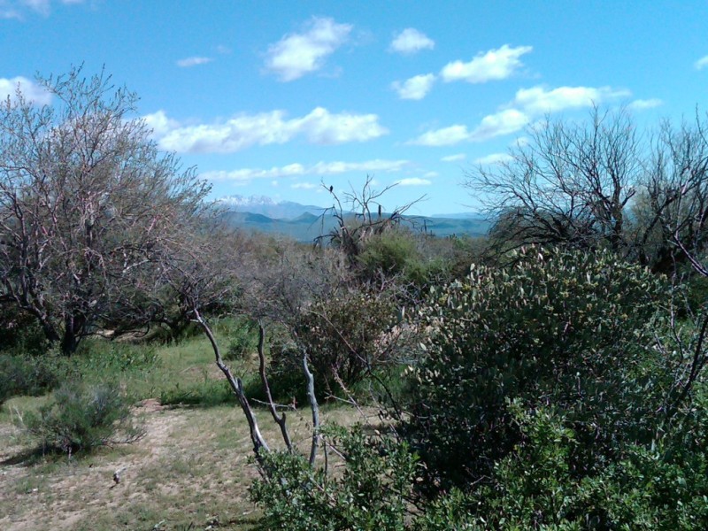 VIEW SE TOWARDS FOUR PEAKS