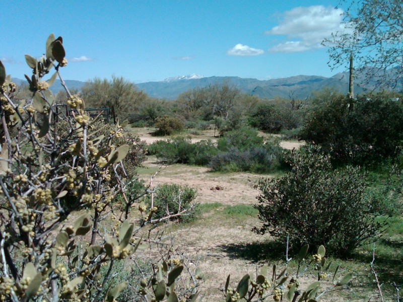 VIEW FROM LOT TOWARDS THE MAZATZALS