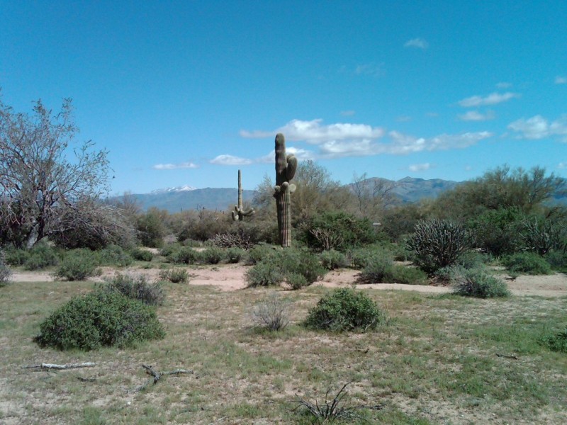 VIEW OVER LOT NE TOWARDS THE MAZATZALS