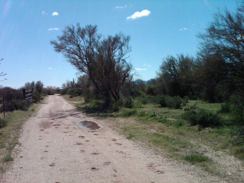 N 162ND ST VIEW SOUTH AT PROPERTY