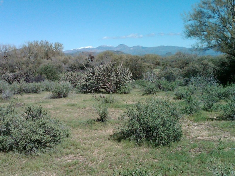 LEVELED LOT VIEW NE