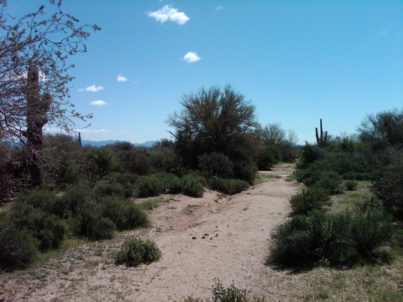 VIEW SOUTH LEVELED LOT