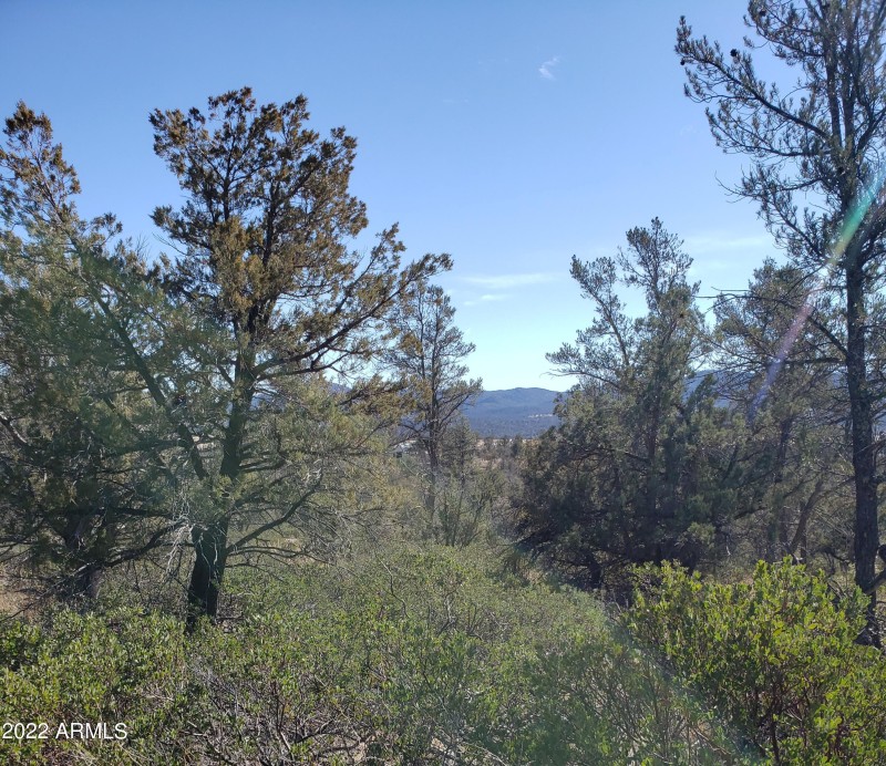 Private 6.24 Acres